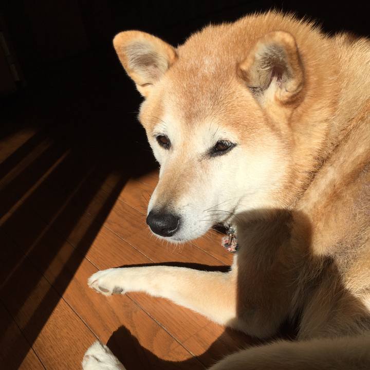 A83a41da 881a 4152 98d3 bc1fe91c5668 1510449147075