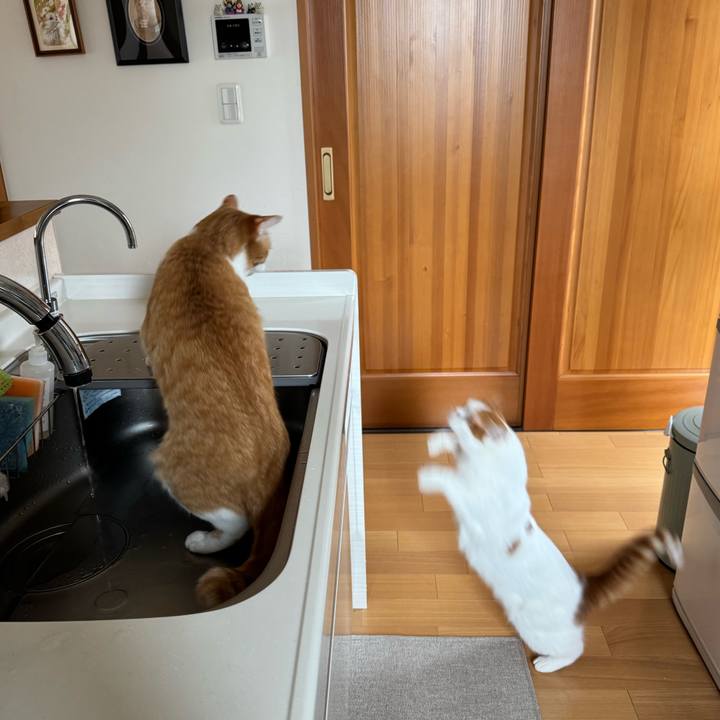 A83a41f1 4e24 4ba3 8965 d2b5fc7e0f1b 1776561236434