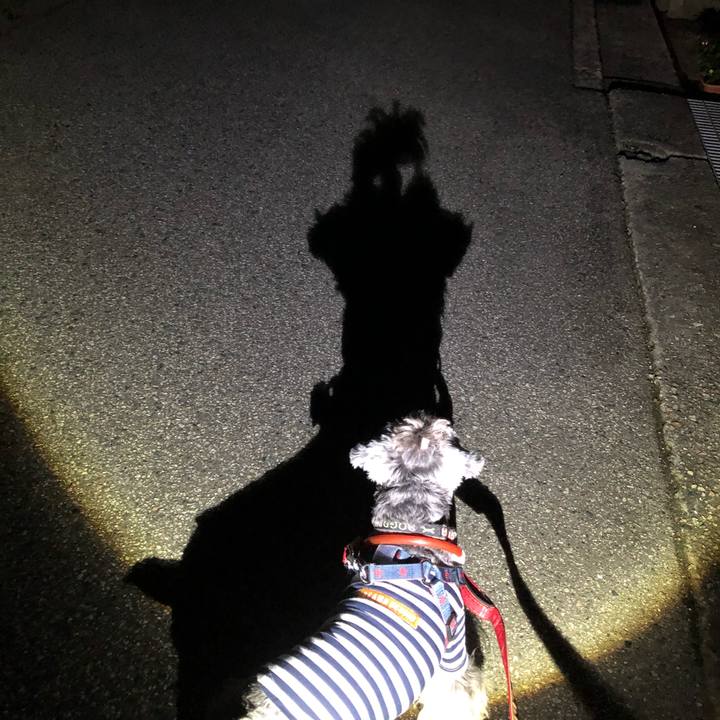 A83a4381 facc 4f2c 8f34 593113eb1103 1636028558155