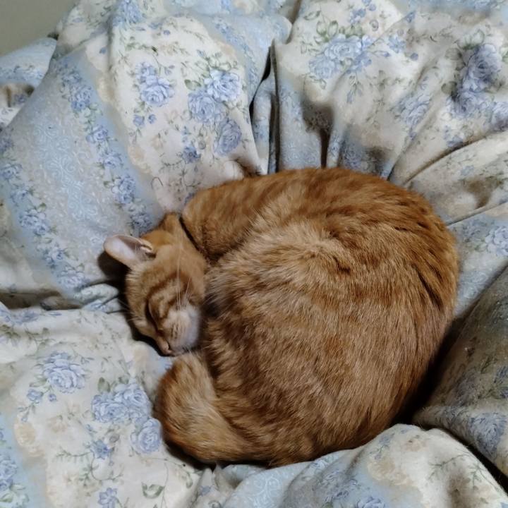 A83a78c1 3d16 4ca1 92e6 4c853804ec13 1666700938480