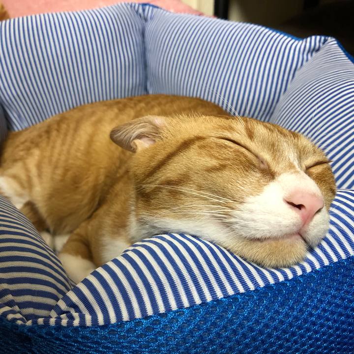 A83a8eb4 ceb8 4102 895e 8813371677ad 1562839440874