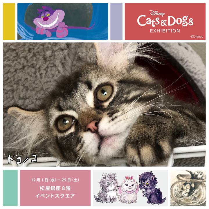 A83aa26c 64fb 4b99 8b5f 7f288bcc41b4 1638349132373