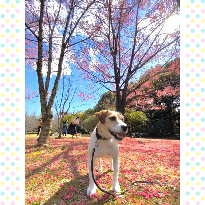 A83aa287 0069 49d1 b41d 904f02ec2271 1583979821454