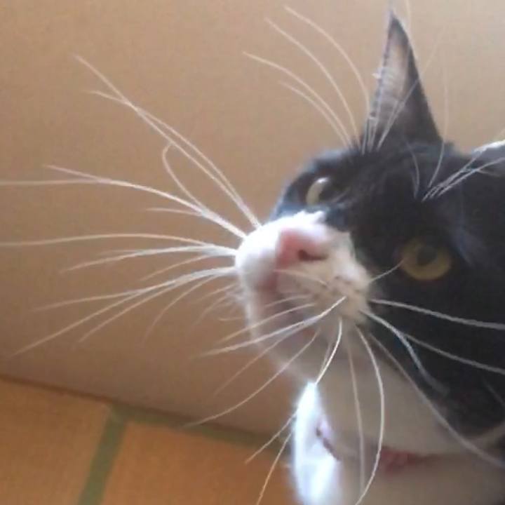 A83ae7ef 356c 4208 aaad fbf9c198e3a1 1553221426752