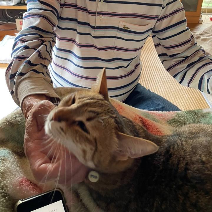 A83af613 1f02 4d83 bde3 8fc3a5954486 1683167970144