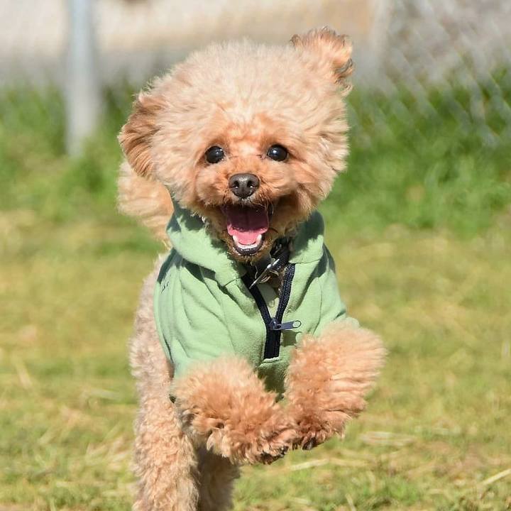 A83b1bcb ecee 470a a067 56d59fbe3e05 1584976019875