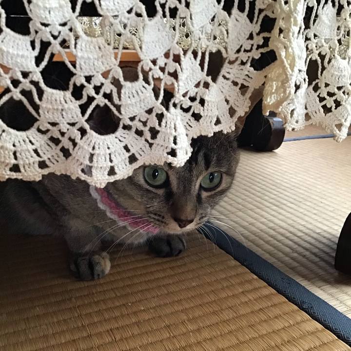 A83b2ac4 9ac3 44b5 9e8c ee5bf0e8aa0e 1624604681239