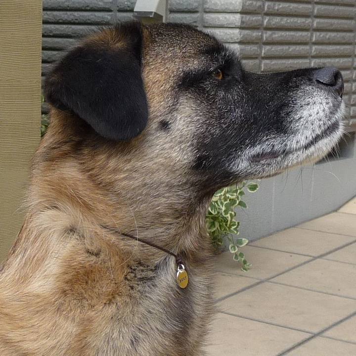 A83b3cf8 a663 4397 b24d cbcac0f5d26b 1577663951413