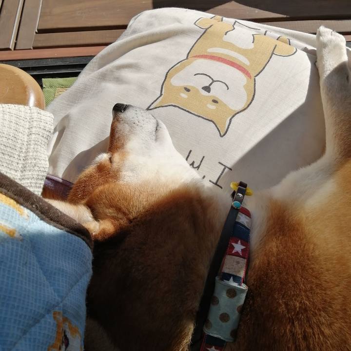 A83b5c73 580e 4e4b b14c 06dd4f0ac10e 1645594855127