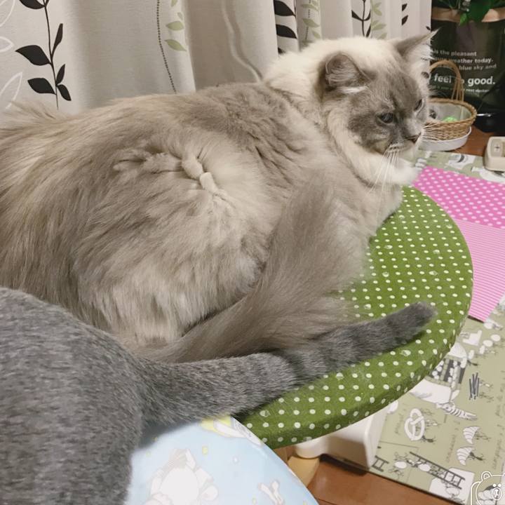 A83b750b 9b85 4e69 9fba 20bdd7debfb3 1509062085423