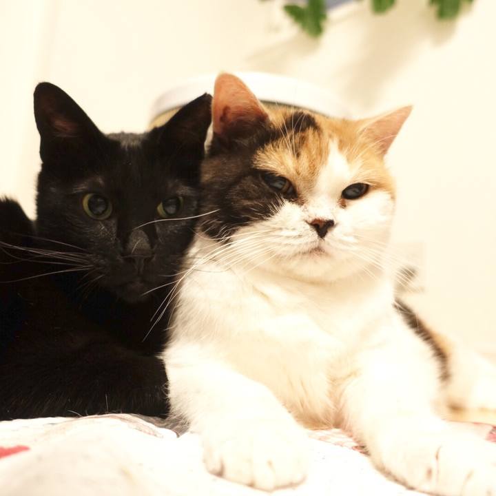 A83b8927 6d82 466d b457 12820f99d1cf 1574610540894