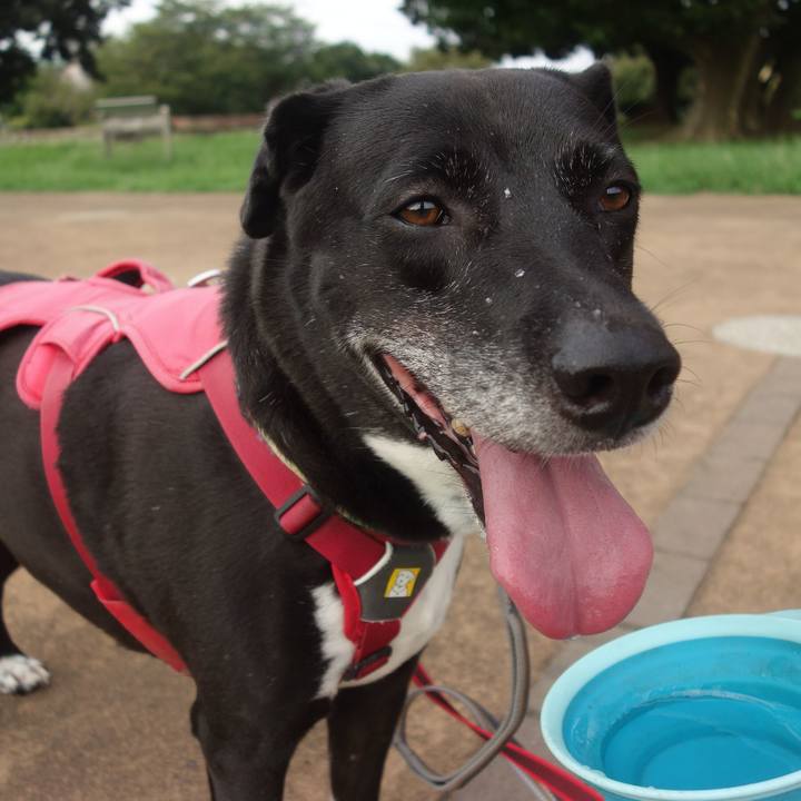 A83b92bc d7e2 40bd 9ae9 9d22bc5cf3d9 1693181894777