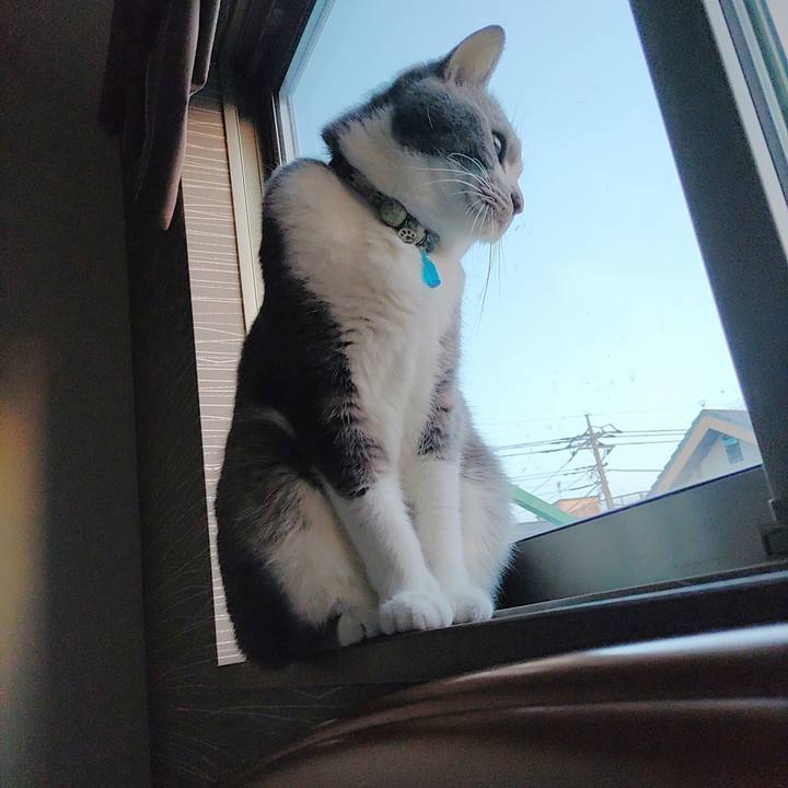 A83bd6c4 ae88 4f5e 89f2 a2aeec0c19fe 1710713347577