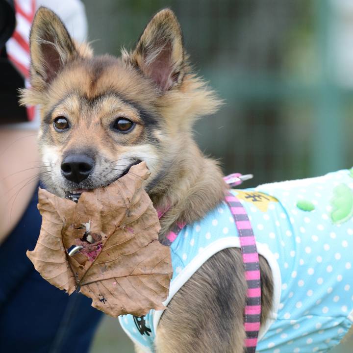 A83c092d dd97 47b1 a338 1a47cae92971 1530203936535