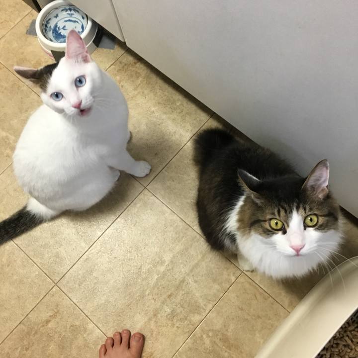 A83c0f2e 713c 41dc a696 9061da5d8310 1535951346238