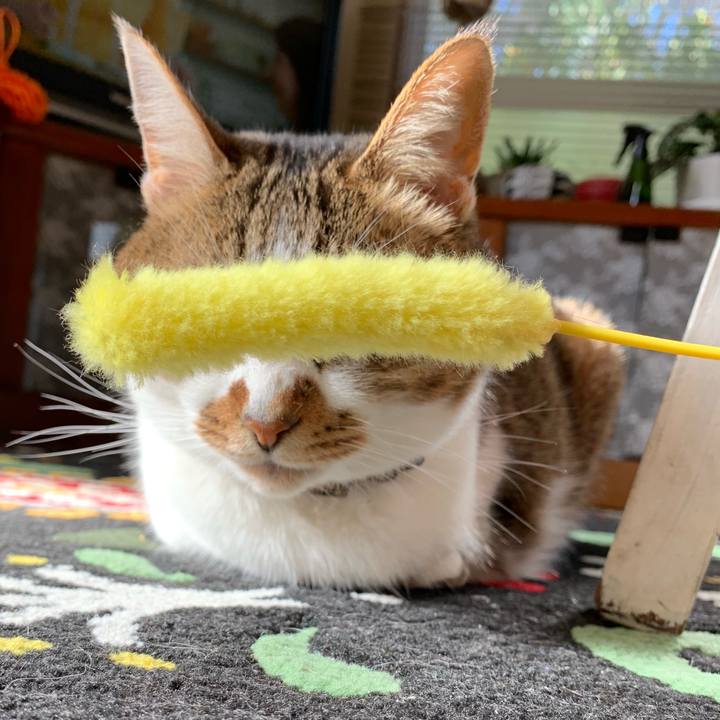 A83c1a5d 59b9 466c b833 975f438911e9 1552694420361