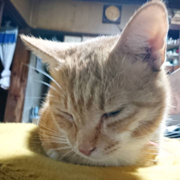 A83c86bc 4a87 476f 81db 56d1ae76fc2e 1571101198531