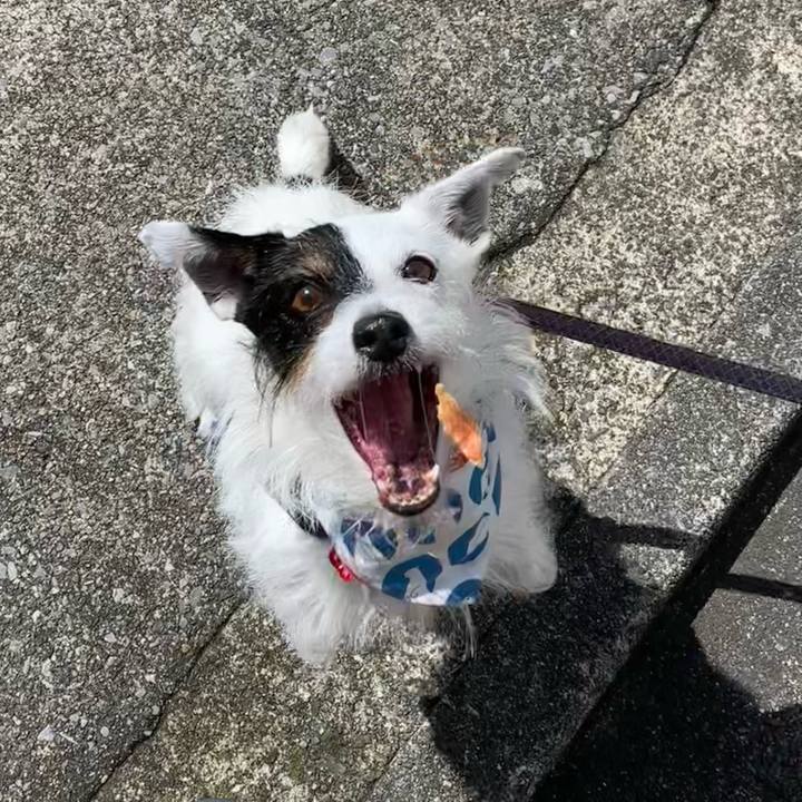 A83c991b cd3b 4197 8b1d 9e9f7f8bd8f1 1688258609408