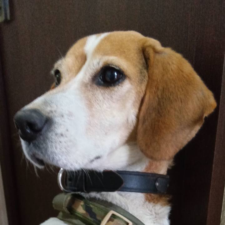 A83c9ebd f15f 41bb b08c 540f7a796cfe 1737959688595