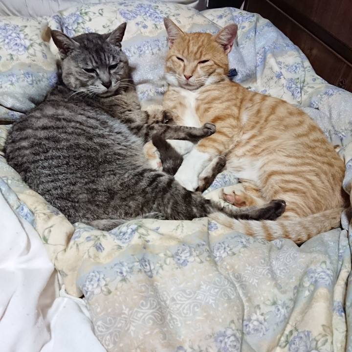 A83d0424 19cb 444d b649 6dd8e2e6c4b3 1564317904713