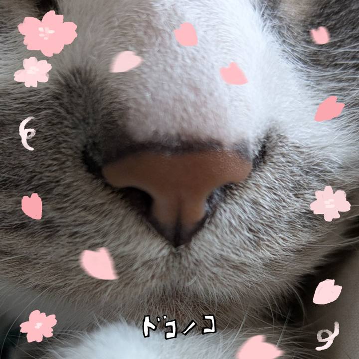 A83d1808 bfc5 451c bfb7 8a19e7aa7564 1744600303822