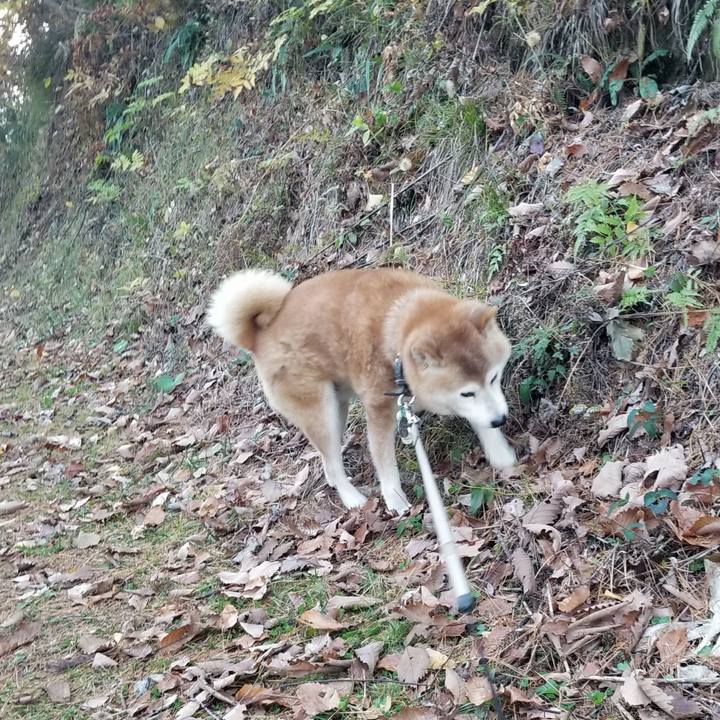 A83d1e90 a370 4b56 af2f f6f9615942bd 1700723817739