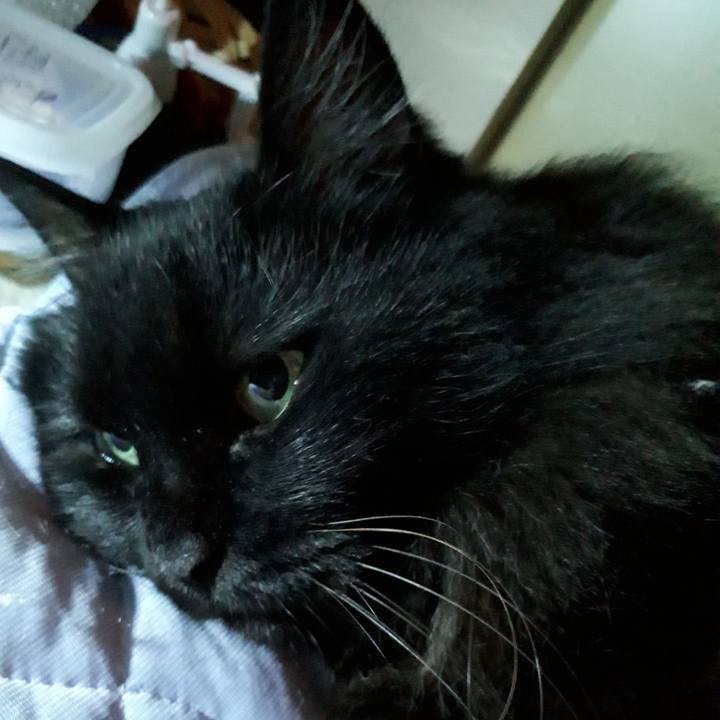 A83d2314 3cc5 4695 b8c0 ebe20527917b 1534344239007