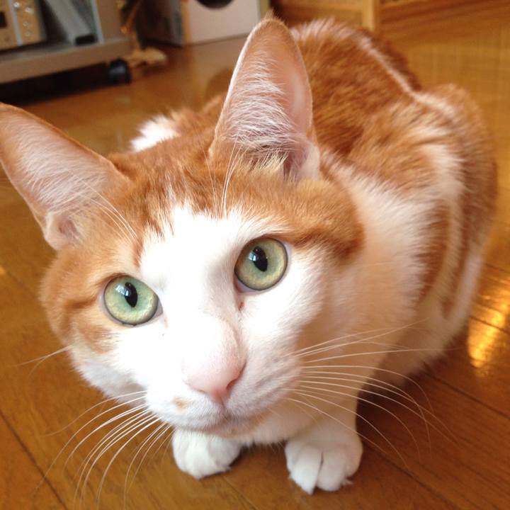 A83d616a 39ec 4dd7 83cc c969a62f2417 1515798562452