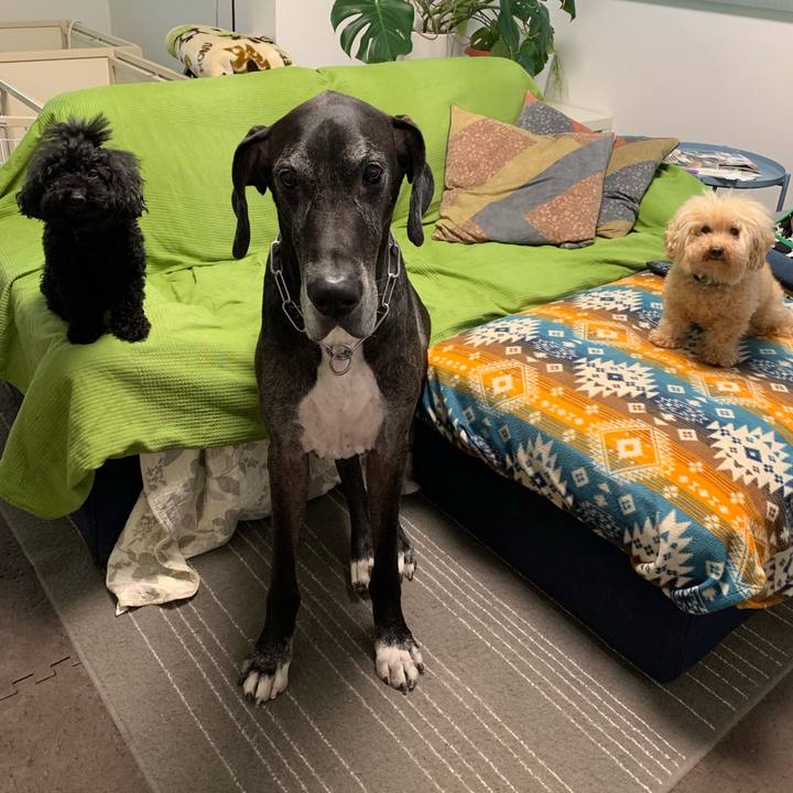 A83d6cc3 4b3b 452d 9cbe 44593a2d55a7 1570401460604