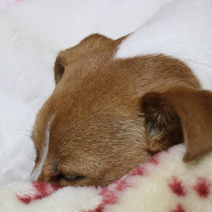 A83d7577 924d 4d59 9a73 a2e1d99a157b 1515322348613