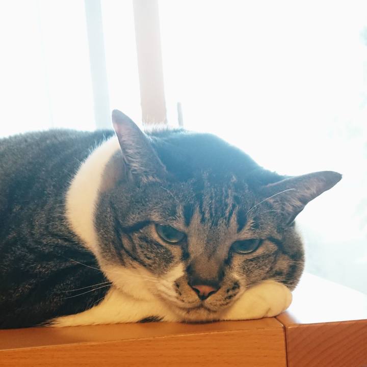 A83dd73d 22d5 4dcf 95f3 38b5e0083a5f 1536184969873