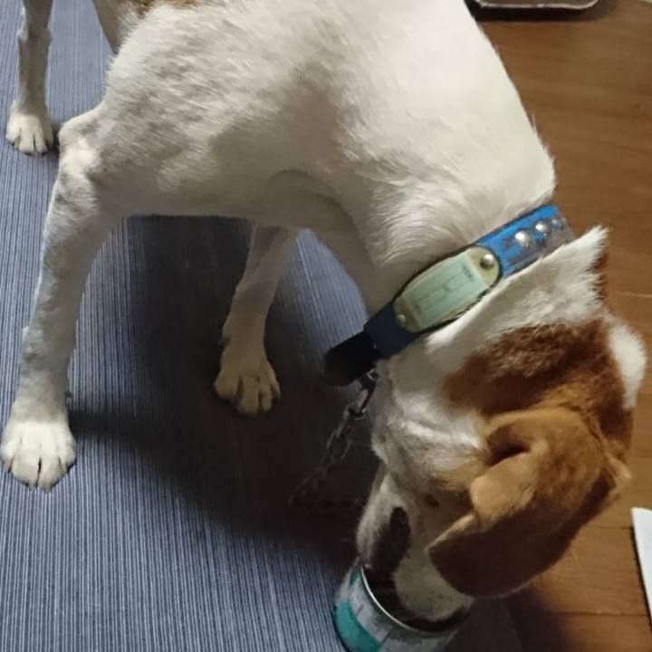 A83df894 4405 4ca1 b472 774e7f4a58c8 1563532792790