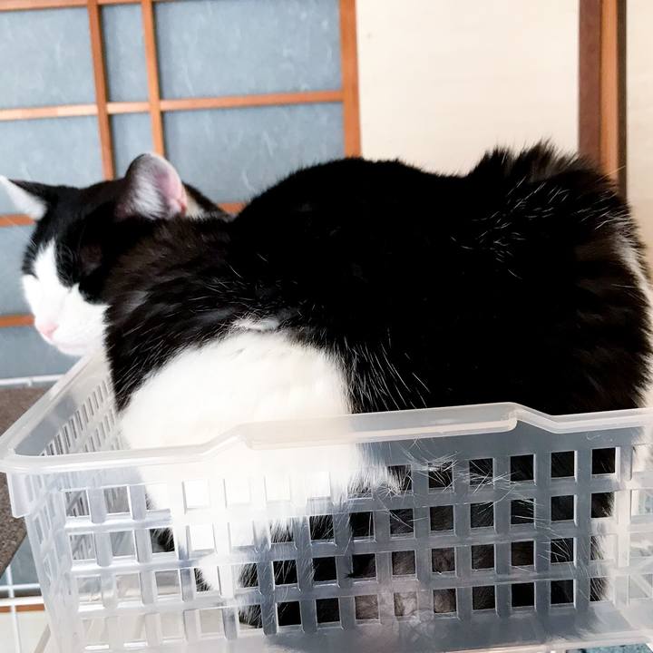 A83e123a 33ed 48c5 85e5 ef45a04e3b4a 1515195506795