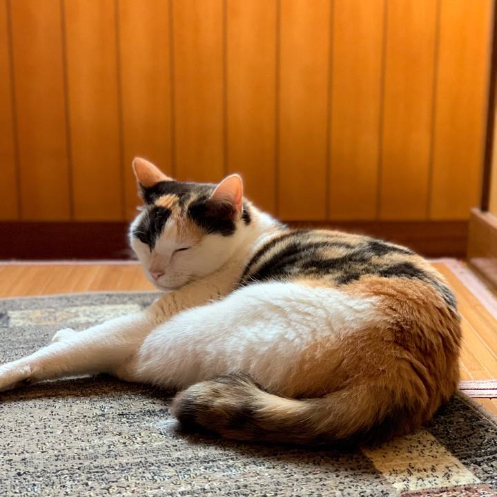 A83e3ef2 b4b1 4e7c 8d46 6483c69e053b 1593397364398