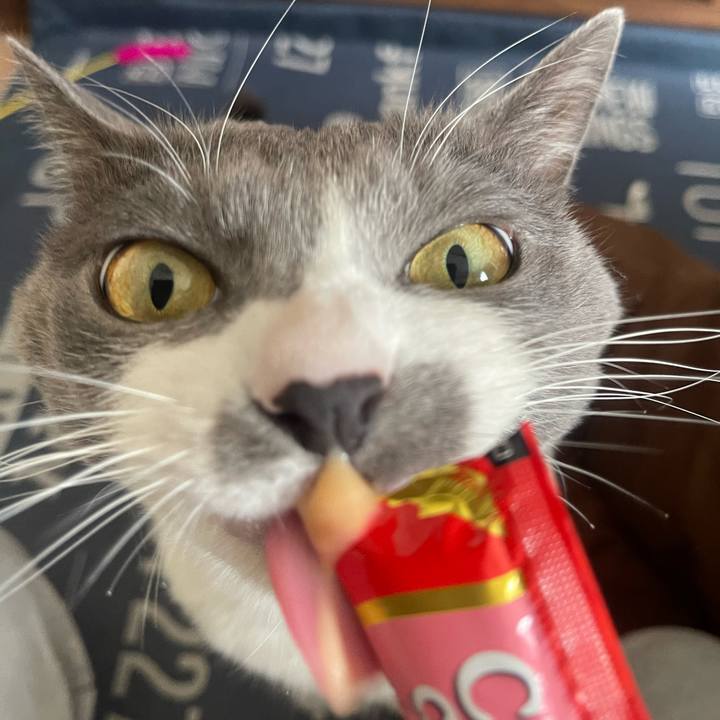 A83e4368 a13e 49e4 b299 fc74ac139ba4 1705384662672