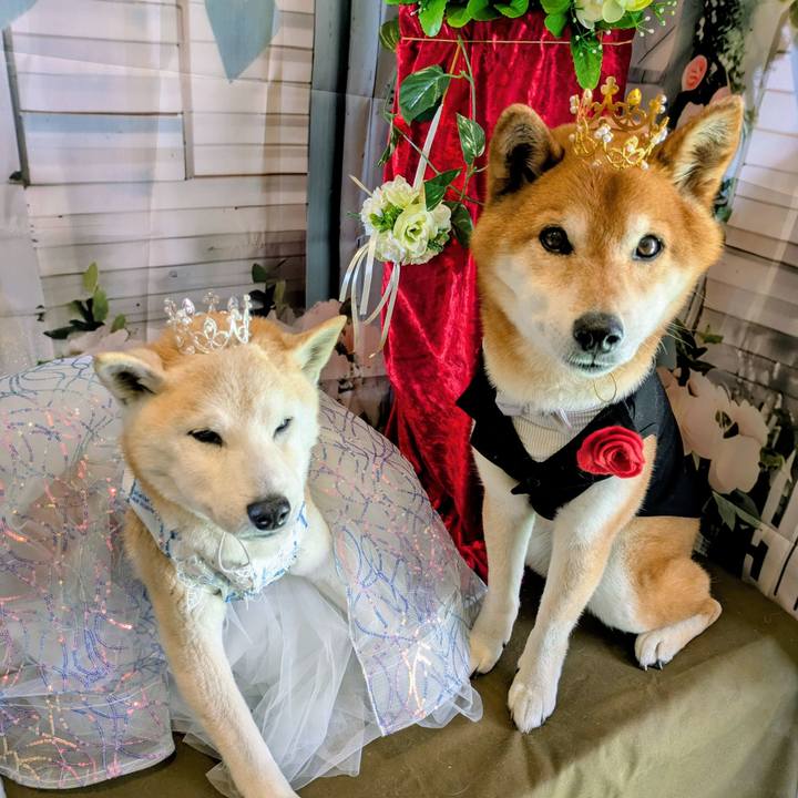 A83e742b 8a50 40b4 9306 80f264161744 1747193881835