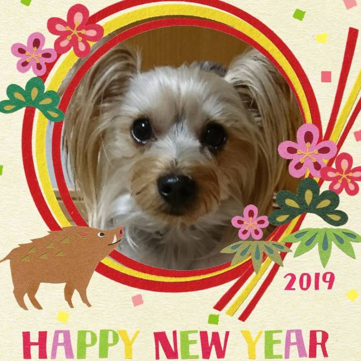 A83e900b 003b 4af2 94d8 29e5f88df8b0 1546291915474