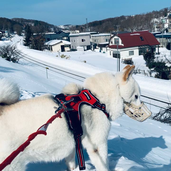 A83eb543 afe3 4f6c ba9d f5234d5c305c 1613977248626