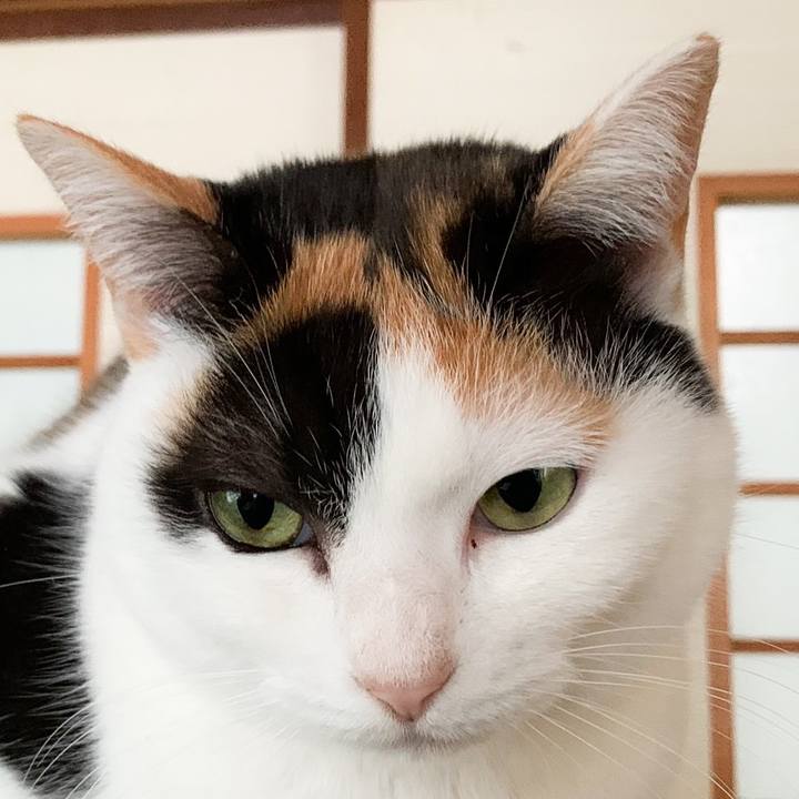 A83ebfd4 88b8 4a8c a4a3 350bd8b641b3 1580522101925