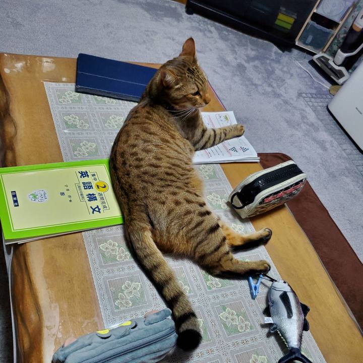 A83ec607 f7cc 4d93 a1fd f3c2a03d6da6 1704384019592