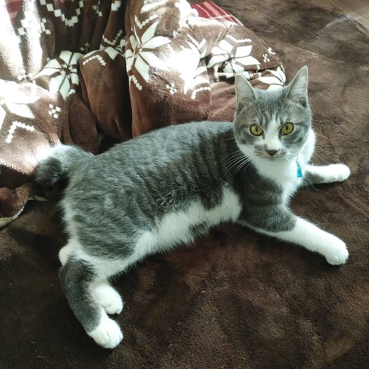 A83edca5 d01d 4f69 aaa8 2622405aa330 1578022005949