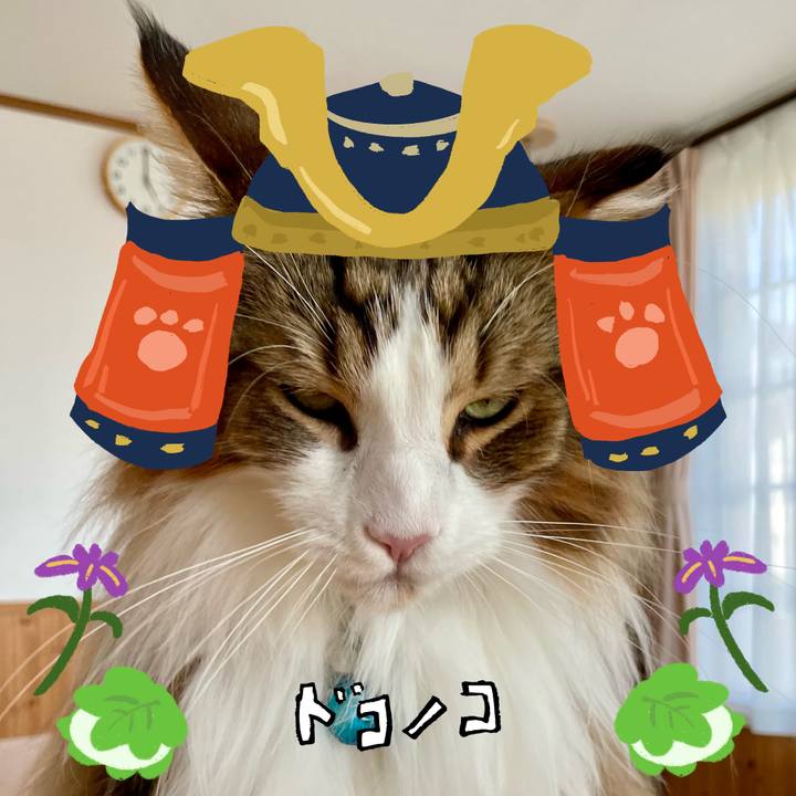 A83efbb6 8745 44d2 926c a569395472e3 1714897791567