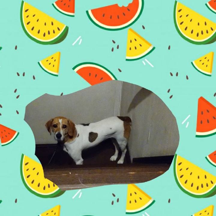 A83f4e7f 708c 48ff a4cd 96f15b8ae806 1590587023249