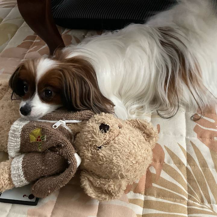 A83fa1a7 047c 472e 89c9 1794a89619ae 1655622666556