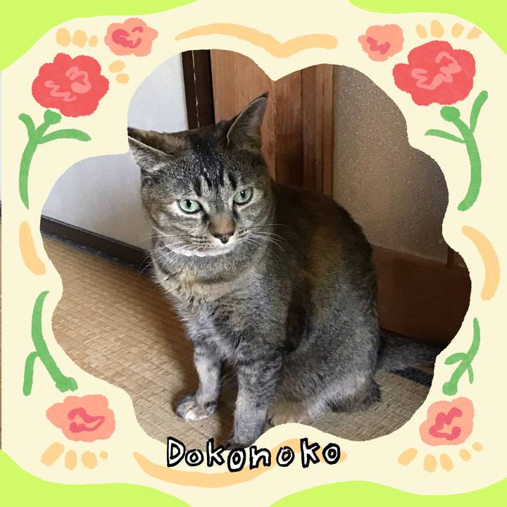 A84003f0 d95a 4e9c 8dc7 45c6c5669d27 1714880719057