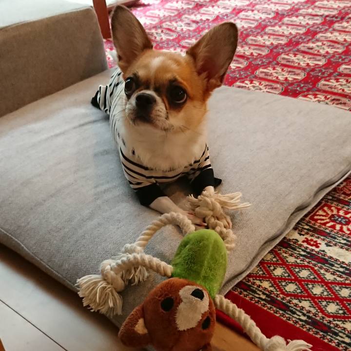 A8400555 4525 4d1f 9f73 696c3fc4356a 1564271531979