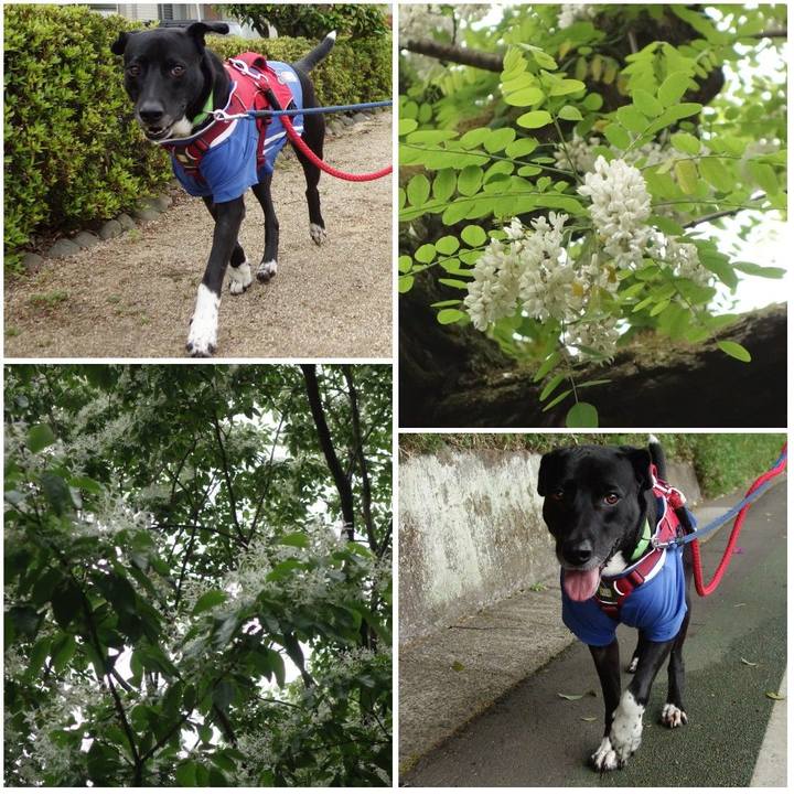 A8402322 ac1a 4df1 9b37 01467638712a 1619655726941