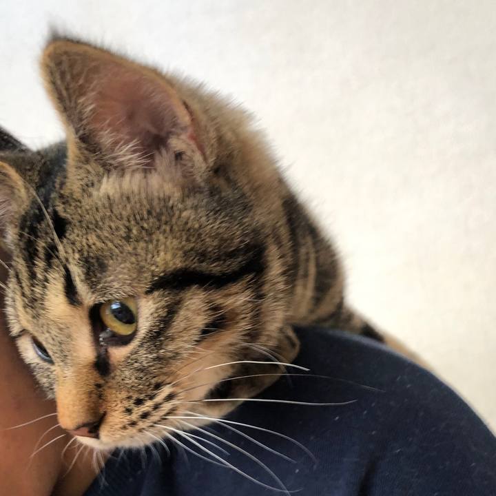 A8407088 e1c1 4b03 932f 71be41b371de 1735657718147