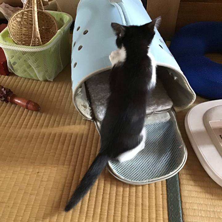 A840cd7d 94a1 4dc4 87da b2f63f457bf6 1624770430129