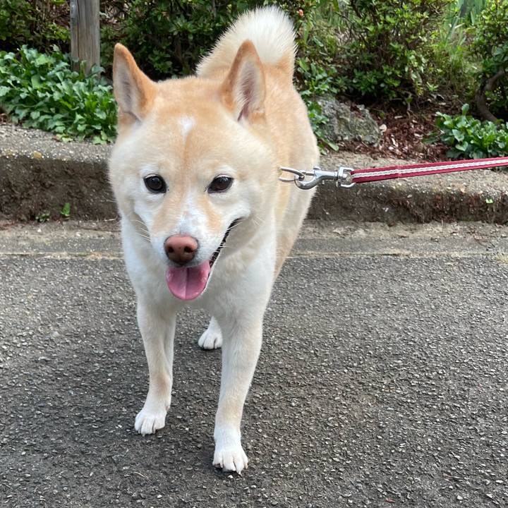 A840cf4a aa73 4349 abb1 fe8ae96ed79d 1658357717445